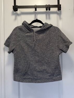 EXO Gray Short Sleeve Cropped Hoodie French Terry - Medium